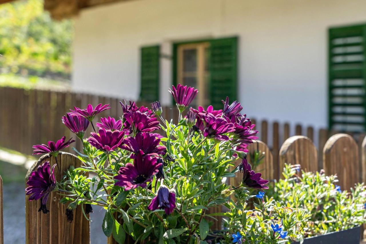 Ferienwohnung Brunjaunhof Schenna Exteriör bild